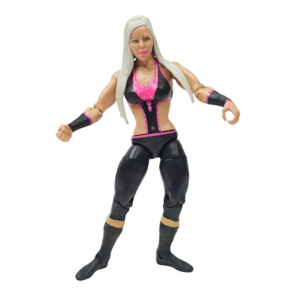 WWE Dana Brooke Wrestling Action Figure 6.25" Toy Loose 2013 Mattel - Picture 1 of 12